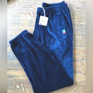 NWT Gorgeous Blue KULE Velour Sweatpants 💙